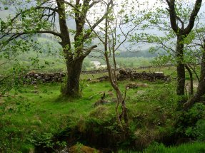 Attribution: Donna Cameron