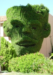 Attribution: Donna Cameron