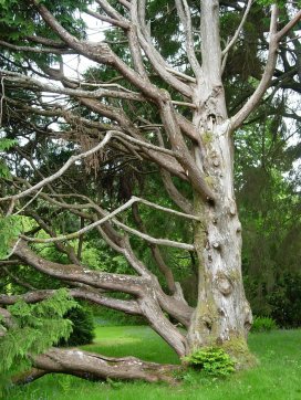 Attrib: Donna Cameron