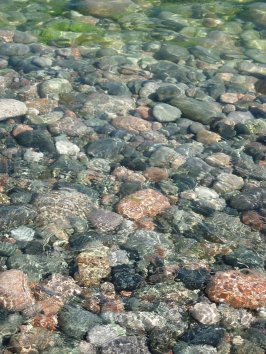 Attribution: Donna Cameron