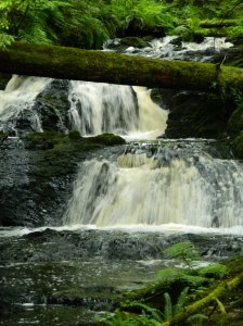 Port Ludlow Waterfall