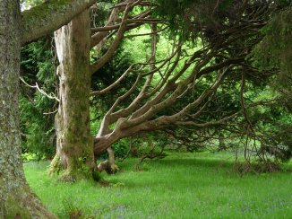 Attribution: Donna Cameron