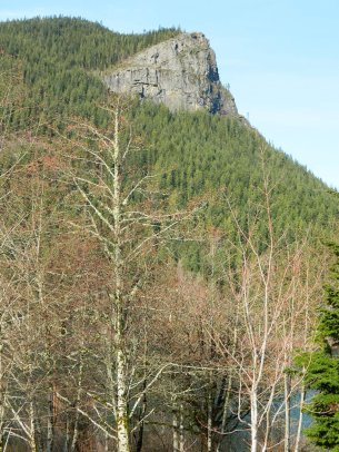 Attribution: Donna Cameron