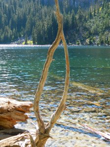 Attribution: Donna Cameron