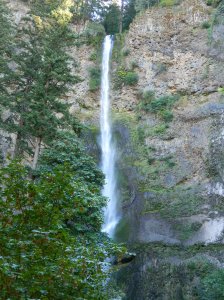 Attribution: Donna Cameron