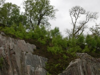 Attribution: Donna Cameron