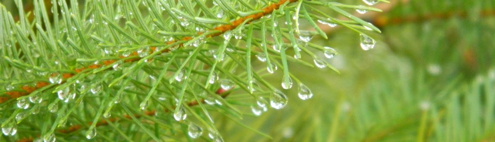 Attribution: Donna Cameron